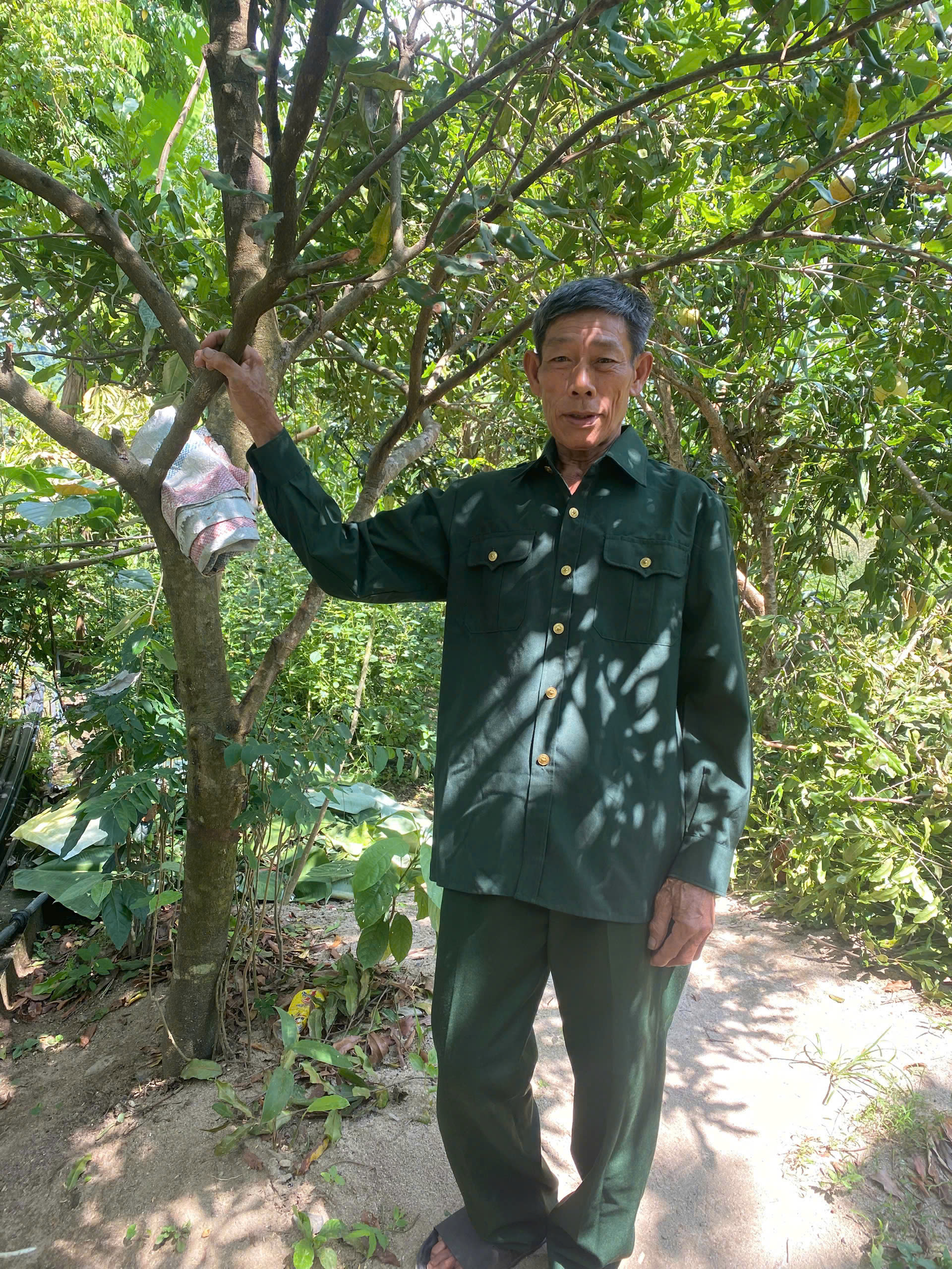 Vũ Trọng Tự