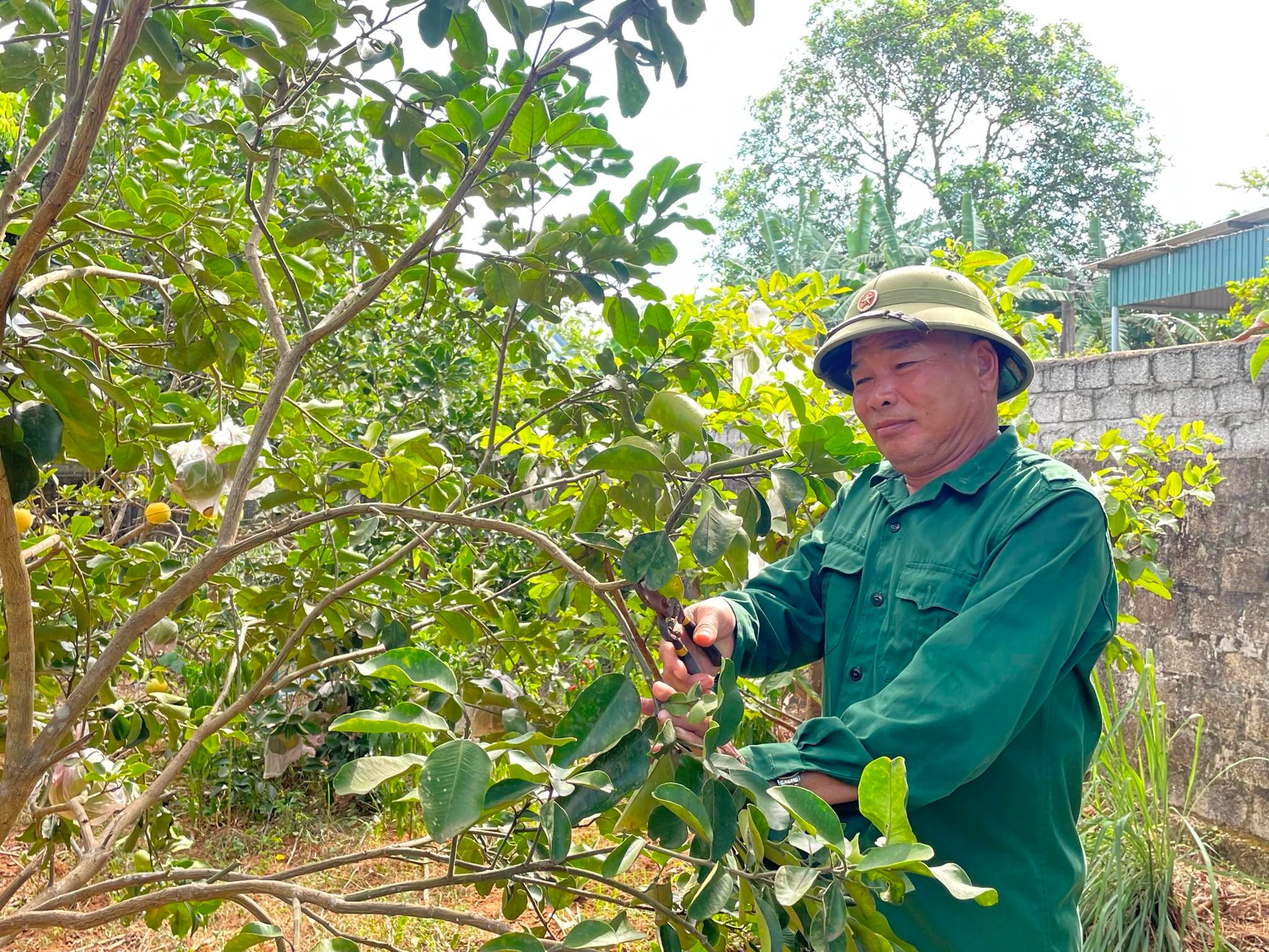 nguyễn công lập