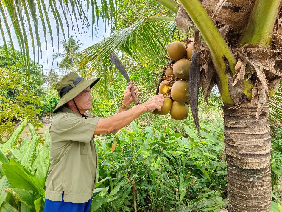 tăng văn tiên