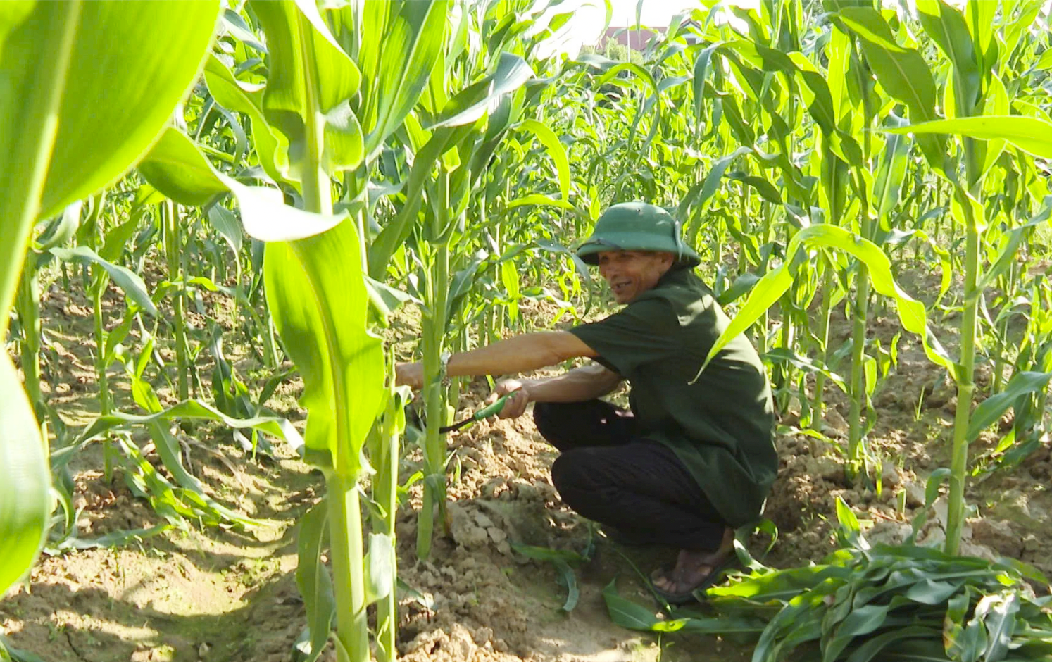 Đặng Văn Luân