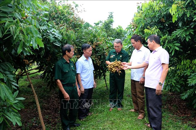 Trần Mạnh Mật