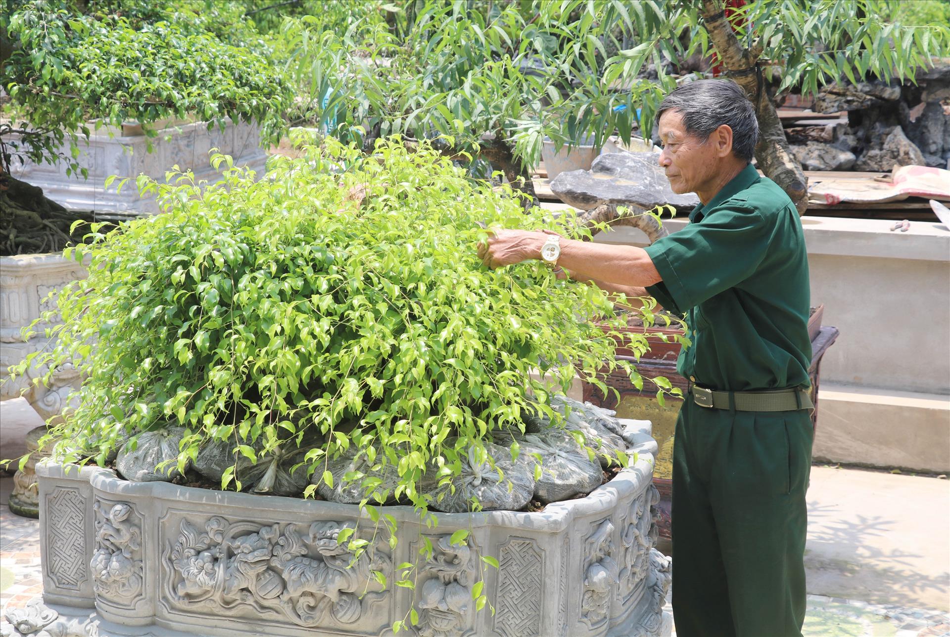 Cao Xuân An