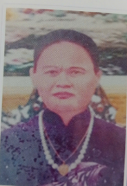 Liễu Kim Vàng