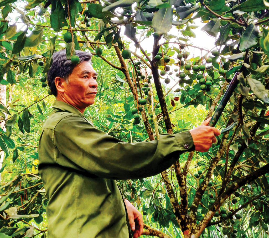 Nông Văn Thắng