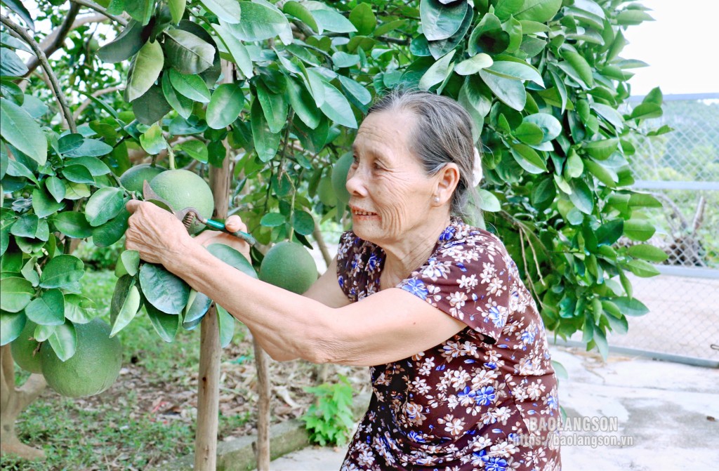 Nguyễn Thị Biên