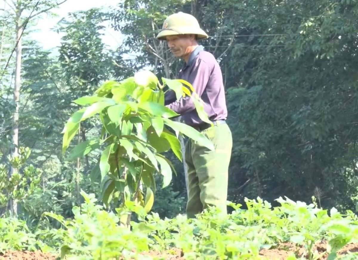 hoàng ngọc hồng