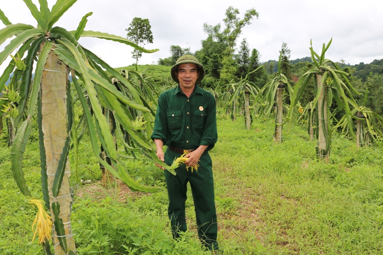 lục trung nông