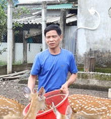 Dịp Văn Linh