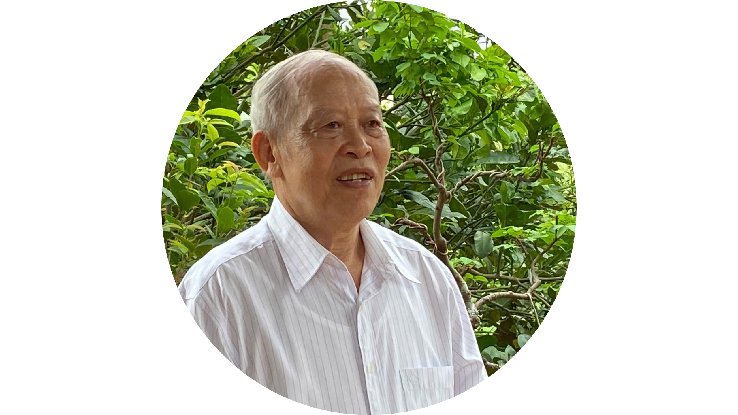 Dương Ngọc Trai