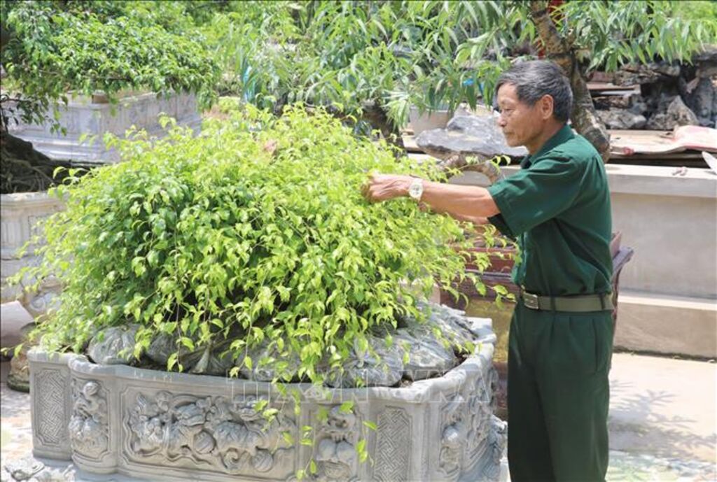 Nguyễn Thị Bính